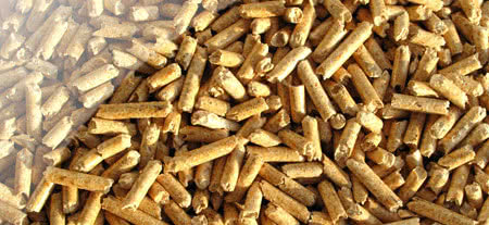 Widok Energia ma nową fabrykę granulacji biomasy 