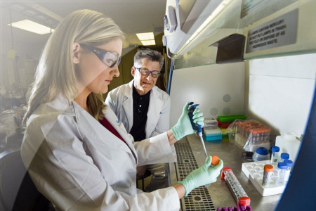 We Wrocławiu uruchomiono bio- i nanotechnologiczne laboratoria