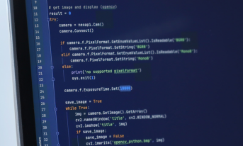 Interfejs programistyczny Baumer neoAPI