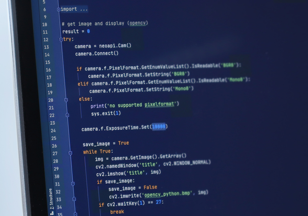Interfejs programistyczny Baumer neoAPI