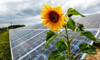 Energa zbuduje farmę fotowoltaiczną