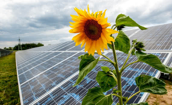 Energa zbuduje farmę fotowoltaiczną 