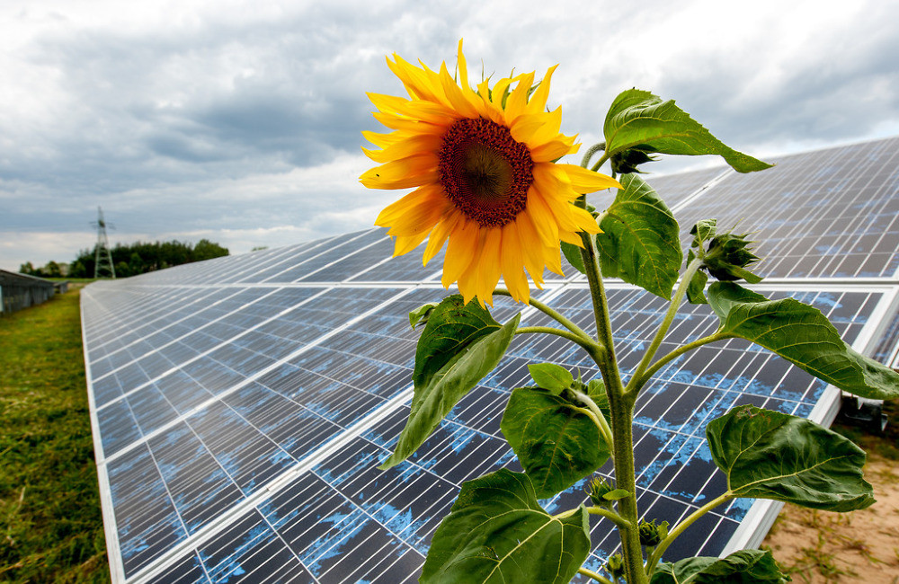 Energa zbuduje farmę fotowoltaiczną