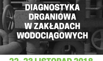 DIAGNOSTYKA DRGANIOWA W ZAKŁADACH WODOCIĄGOWYCH