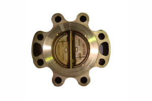 Aluminium Bronze Lug Check Valves, DN25-DN1500