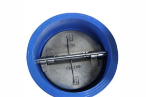 Double Disk Wafer Check Valves, DI, SS410 Shaft