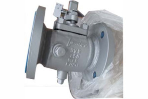 WCB Plug Valves, Steam Jacketed, RF