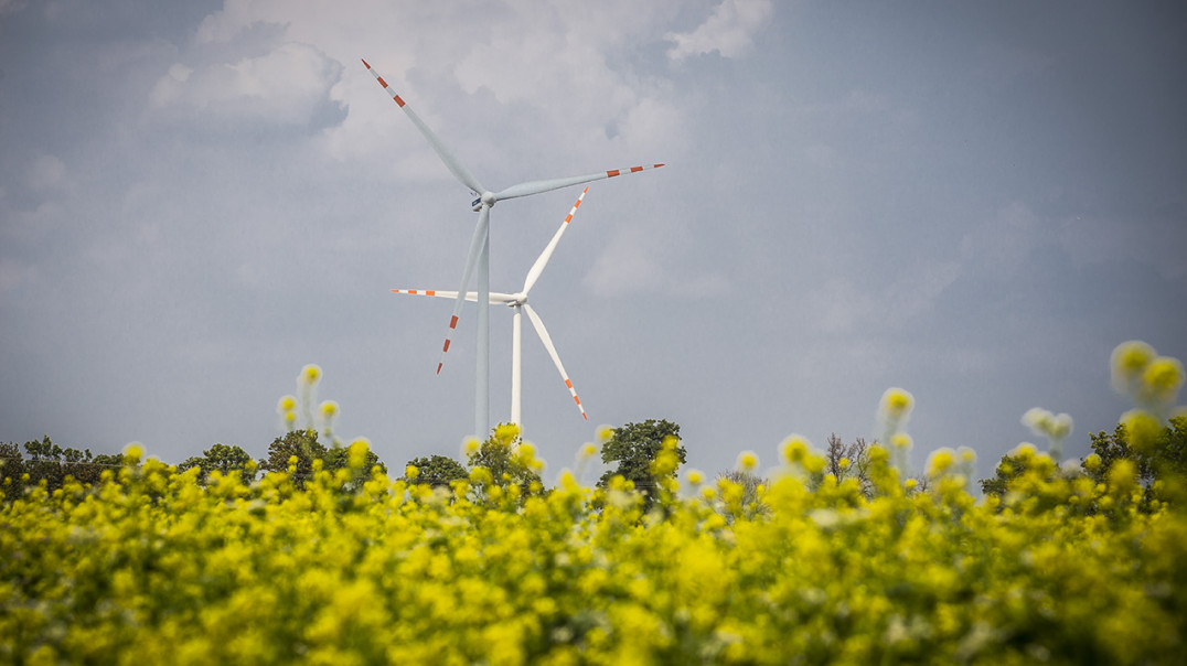Tauron kupił farmy wiatrowe