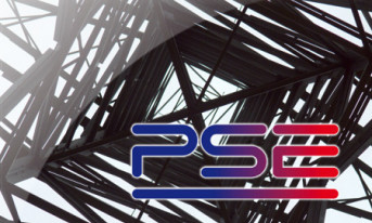 PSE zmienia logo