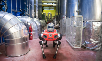 Prognoza dla rynku robotów inspekcyjnych