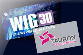 Tauron w WIG30 