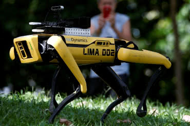 "Robopies" pilnuje w singapurskim parku dystansu między odwiedzającymi 