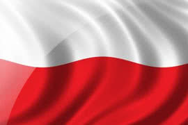 Polska atrakcyjnym rynkiem dla inwestycji w sektorze motoryzacyjnym 