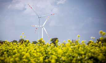 Nowa farma wiatrowa Tauronu