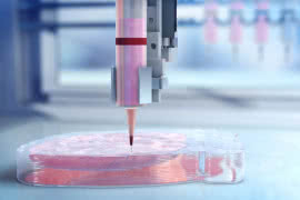 Rynek organicznego druku 3D przekroczy 2 mld dolarów 