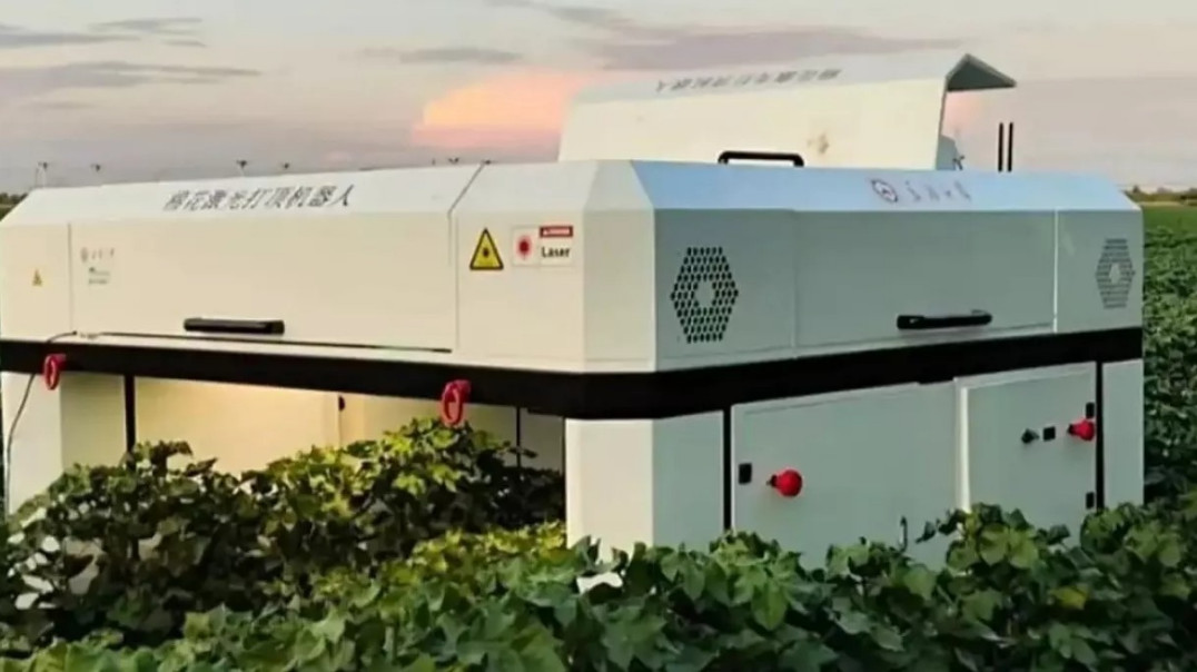 Chiński robot zastąpi rolnika. Pracują szybciej, taniej i bez chemii