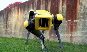 Robot Boston Dynamics zamiast farmerskiego owczarka