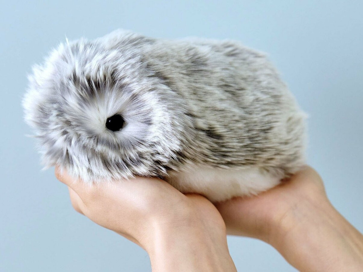 モフリン　Moflin Moflin(モフリン) | RobotPlanet（ロボットプラネット）