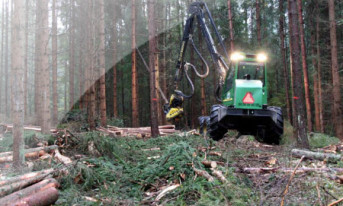 Wydano pierwsze certyfikaty pochodzenia energii elektrycznej z biomasy leśnej