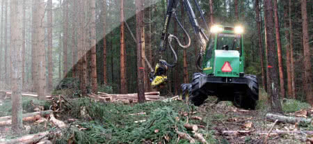 Wydano pierwsze certyfikaty pochodzenia energii elektrycznej z biomasy leśnej 