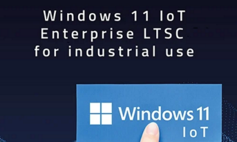 System operacyjny Windows 11 IoT Enterprise LTSC