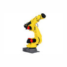 Robot przegubowy M-810/190-20B